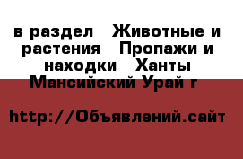  в раздел : Животные и растения » Пропажи и находки . Ханты-Мансийский,Урай г.